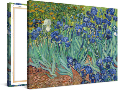 PICANOVA – Vincent Van Gogh Irises 80x60 cm – Bild auf Leinwand – Leinwandbild – Premium Leinwanddru