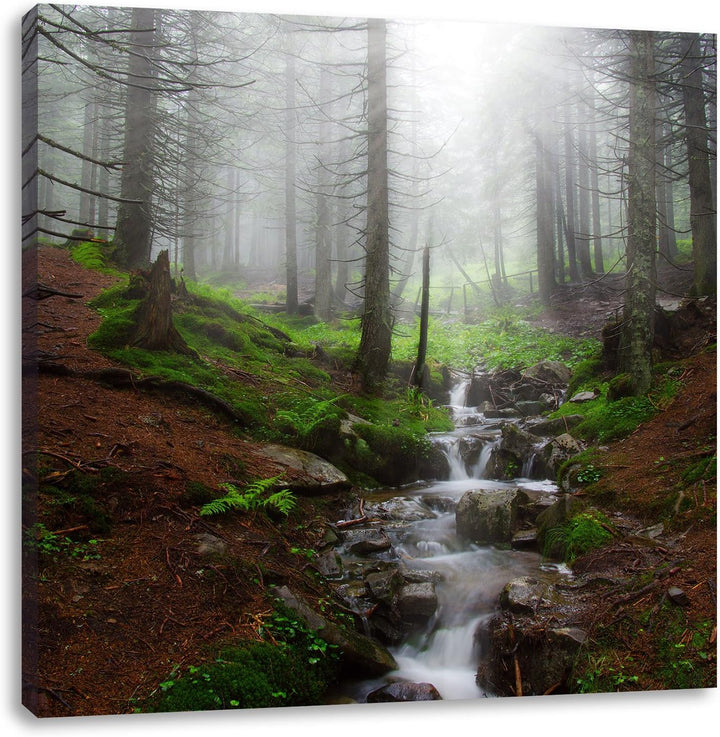 Pixxprint Bach im Wald, Format: 70x70 auf Leinwand, XXL riesige Bilder fertig gerahmt mit Keilrahmen