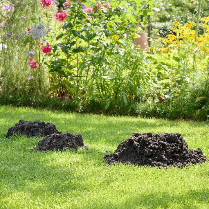 Maulwurfnetz Maulwurfsperre Gartennetz Maulwurfbekämpfung Rasen Rollrasen schwarz Rasengitter Versch