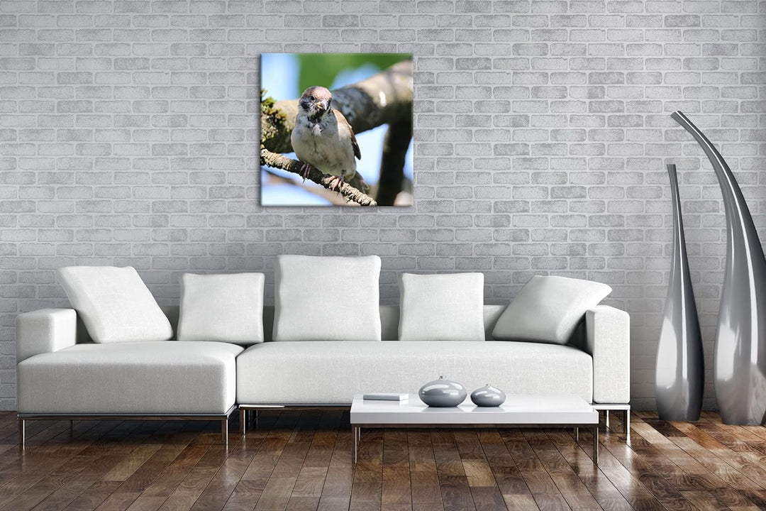 deyoli neugieriger Vogel Format: 70x70 als Leinwandbild, Motiv fertig gerahmt auf Echtholzrahmen, Ho
