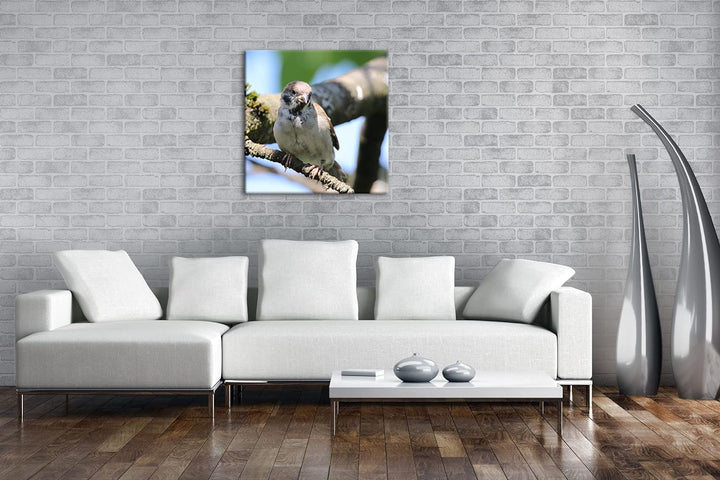 deyoli neugieriger Vogel Format: 70x70 als Leinwandbild, Motiv fertig gerahmt auf Echtholzrahmen, Ho