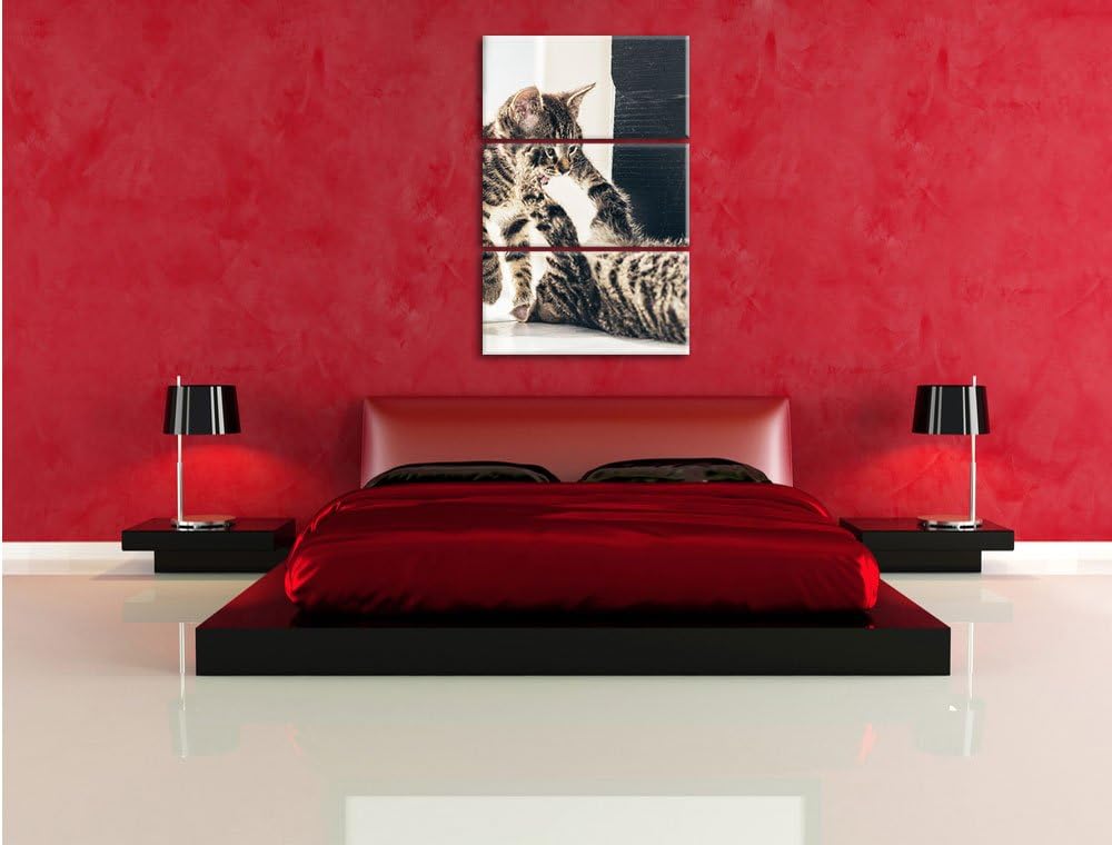 Pixxprint Fighting Cats 3-Teiler Leinwandbild 120x80 Bild auf Leinwand
