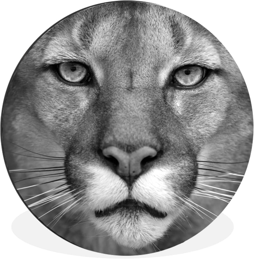 MuchoWow Wandbild Rund Wanddeko Deko Wohnzimmer Bilder 90x90 cm Panther - Wildlife - Schwarz - Weiss