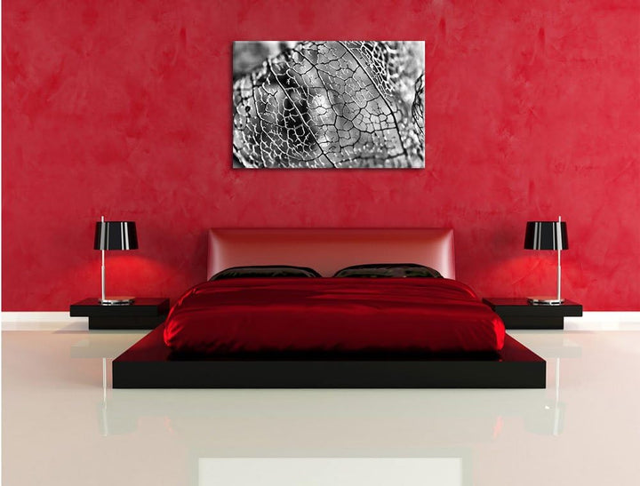 Monocrome, Rote Physalis, Format: 100x70 auf Leinwand, XXL riesige Bilder fertig gerahmt mit Keilrah