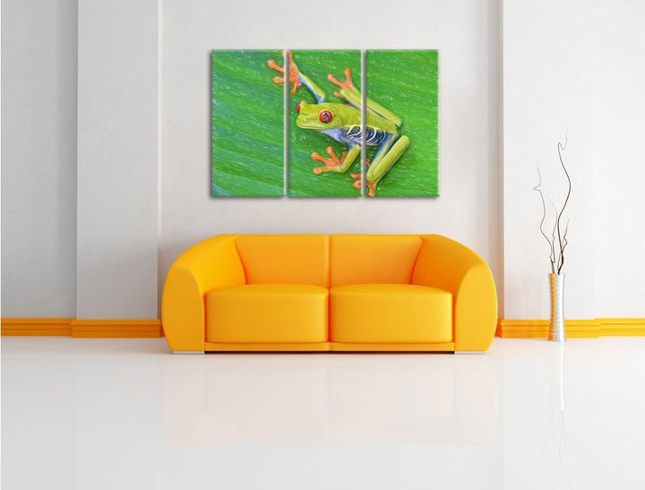 Pixxprint Kleiner Frosch auf Blatt / 3-Teilig/Gesamtmass 120cm Leinwandbild bespannt auf Holzrahmen/