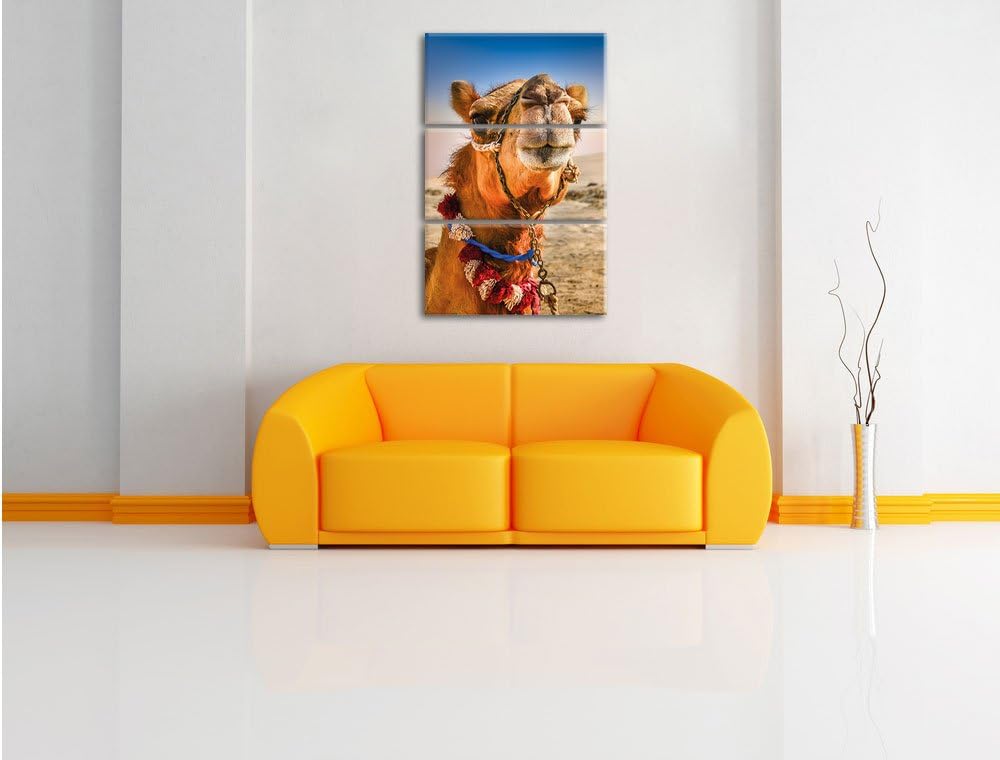 Pixxprint Lustiges Kamel in Wüste als Leinwandbild/Grösse: 3 Teilig (120x80) cm/Wandbild/Kunstdruck/