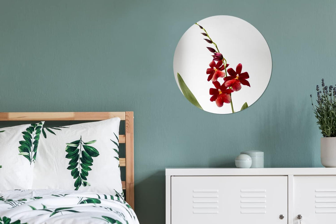 MuchoWow Wandbild Rund Wanddeko Deko Wohnzimmer Bilder 60x60 cm Rote Orchidee mit Blättern auf weiss