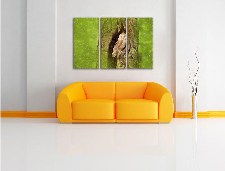 Pixxprint Schleiereule Baumhöhle als Leinwandbild/Grösse: 3 Teilig (120x80 cm) cm/Wandbild/Kunstdruc