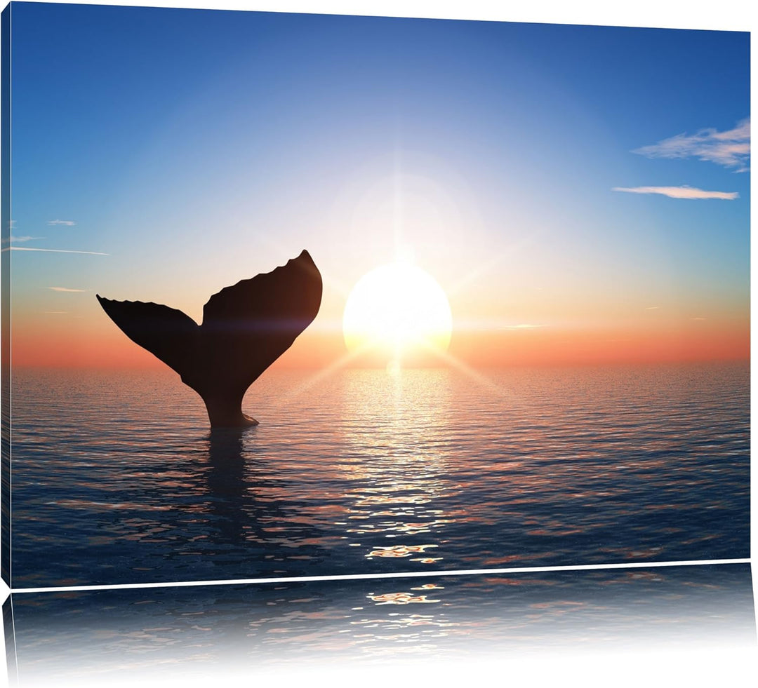Walflosse im Sonnenuntergang Format: 100x70 auf Leinwand, XXL riesige Bilder fertig gerahmt mit Keil