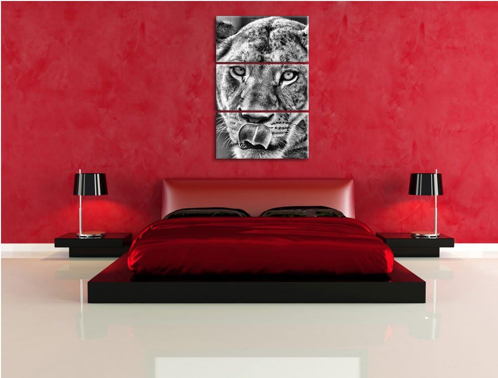 Pixxprint Monocrome, anmutige Löwin 3-Teiler Leinwandbild 120x80 Bild auf Leinwand