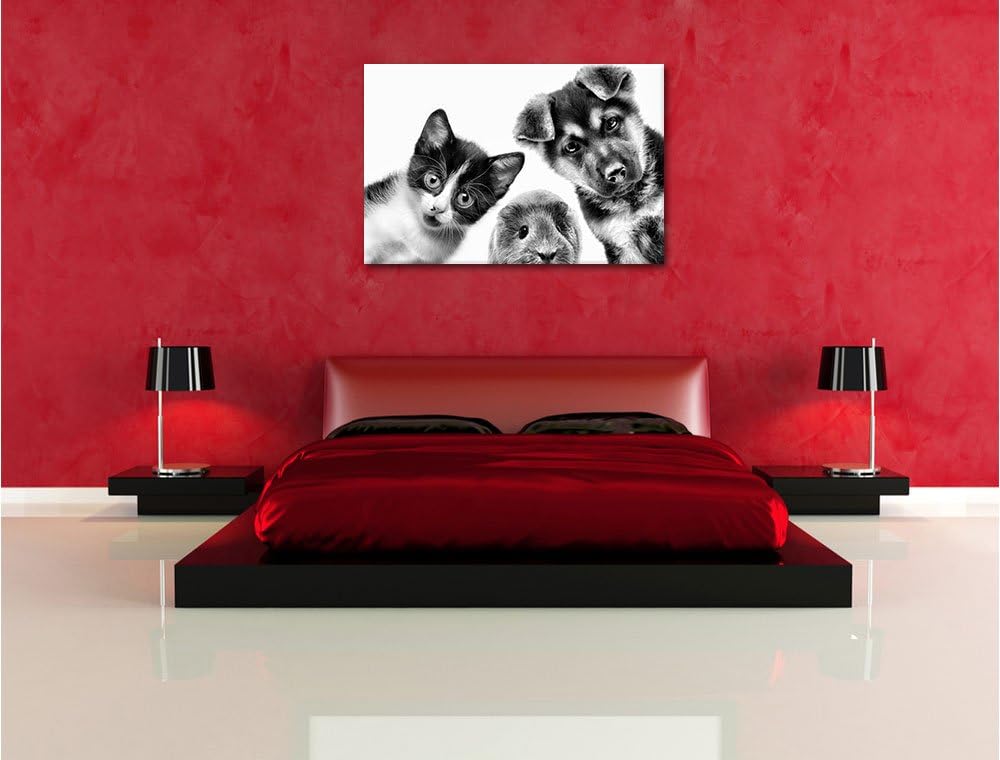 Pixxprint Trio Hund Katze Meerschwein als Leinwandbild/Grösse: 100x70 cm/Wandbild/Kunstdruck/fertig