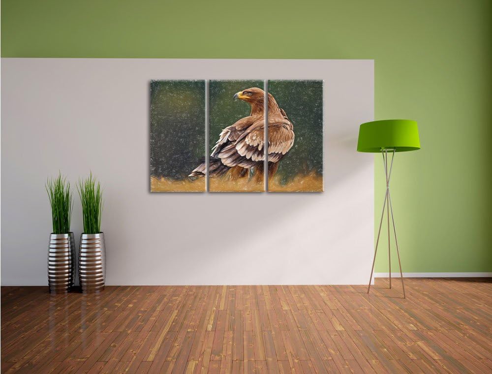 Pixxprint Falke mit braunem Gefieder als Leinwandbild 3 teilig/Grösse: 3 Teilig (120x80) / Wandbild/