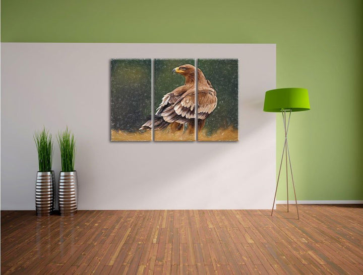 Pixxprint Falke mit braunem Gefieder als Leinwandbild 3 teilig/Grösse: 3 Teilig (120x80) / Wandbild/