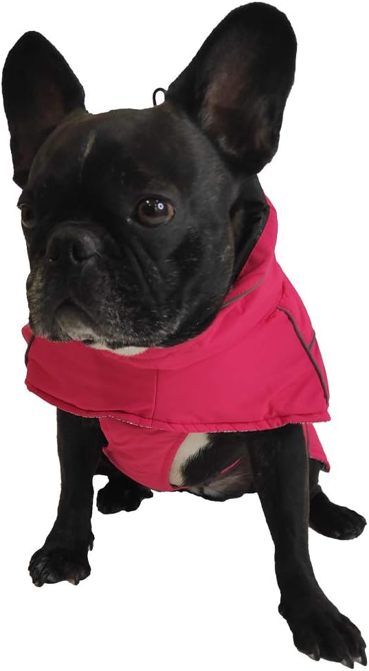 Croci Wandermantel Hundemantel Wasserdicht für Hunde - Gepolsterter Wintermantel thermoregulierendes