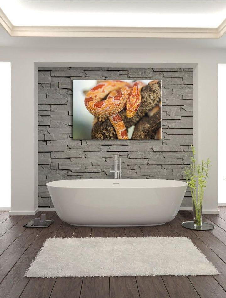 Pixxprint ruhende Kornnatter auf Leinwand, XXL riesige Bilder fertig gerahmt mit Keilrahmen, Kunstdr