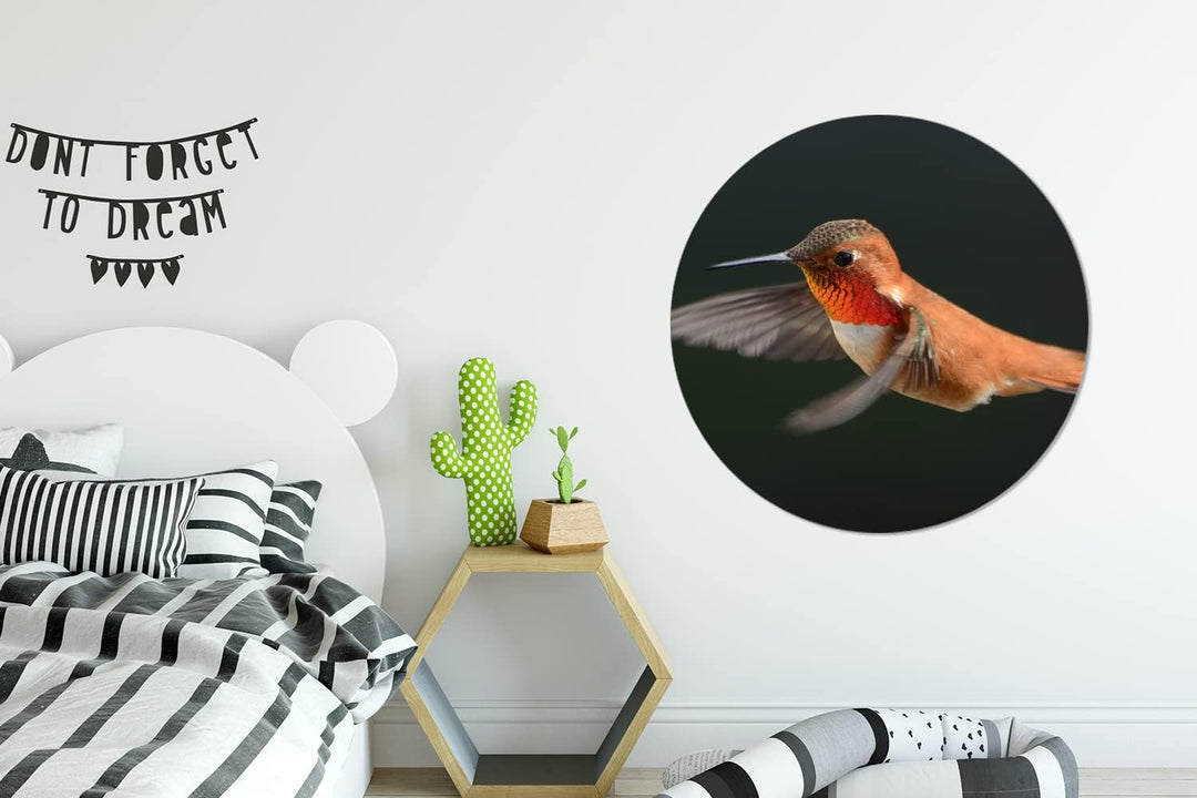 MuchoWow Wandbild Rund Wanddeko Deko Wohnzimmer Bilder 90x90 cm Kolibri - Federn - Schwarz, 90x90 cm