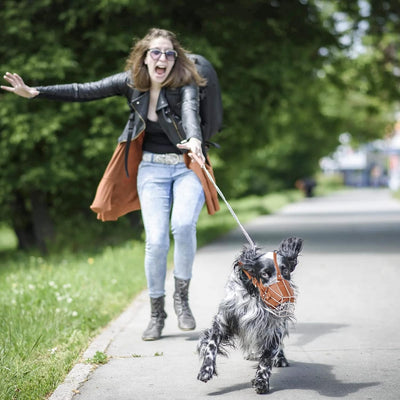 PETCUTE Hund Maulkorb Metall Maulkorb Hundemaulkorb Anti Beissen Bellen Fressen Beisskorb Sicherheit