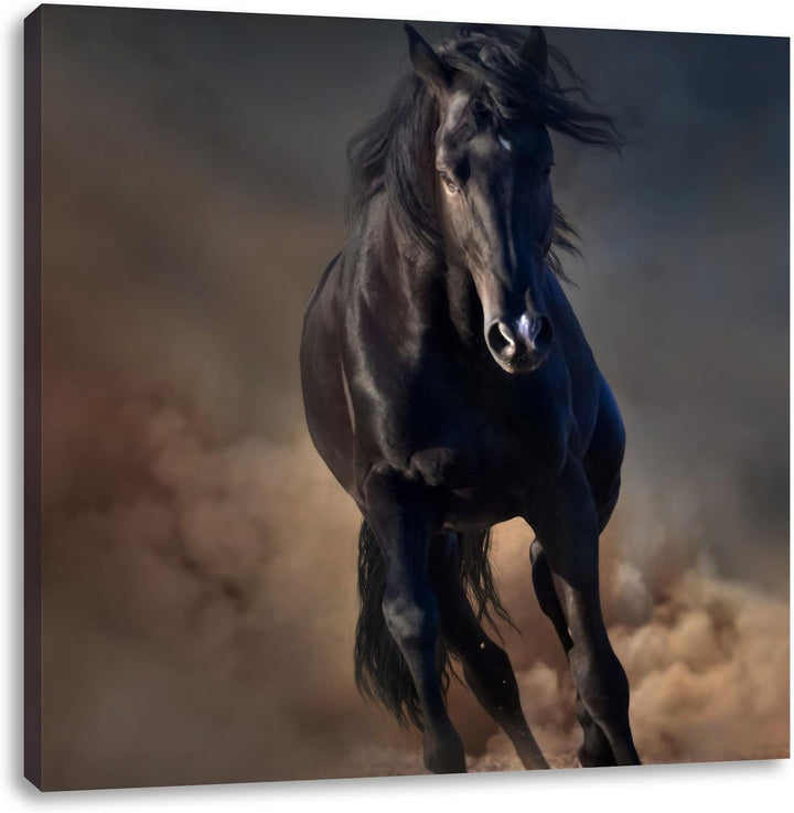Elegantes schwarzes Pferd, Format: 70x70 auf Leinwand, XXL riesige Bilder fertig gerahmt mit Keilrah