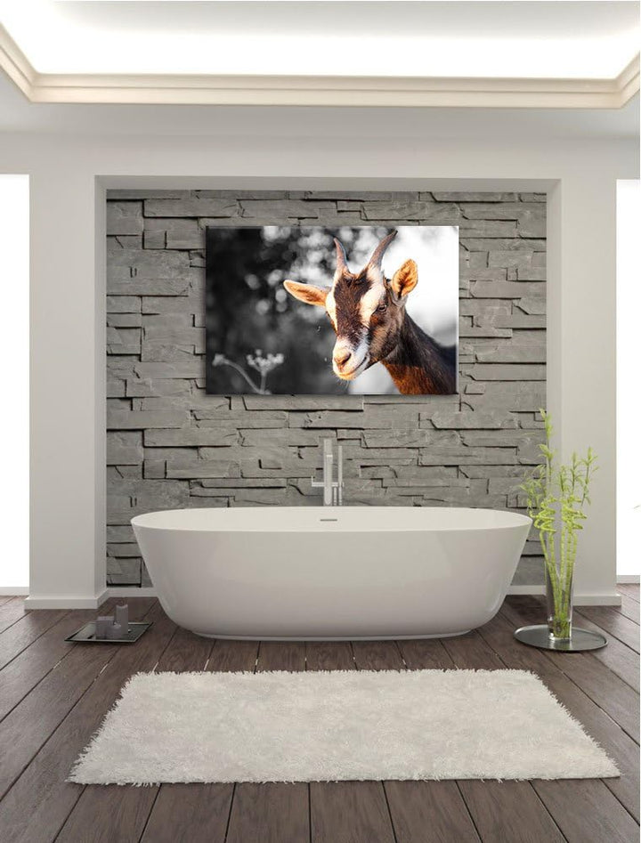 süsse Ziege schwarz/weiss Format: 100x70 auf Leinwand, XXL riesige Bilder fertig gerahmt mit Keilrah