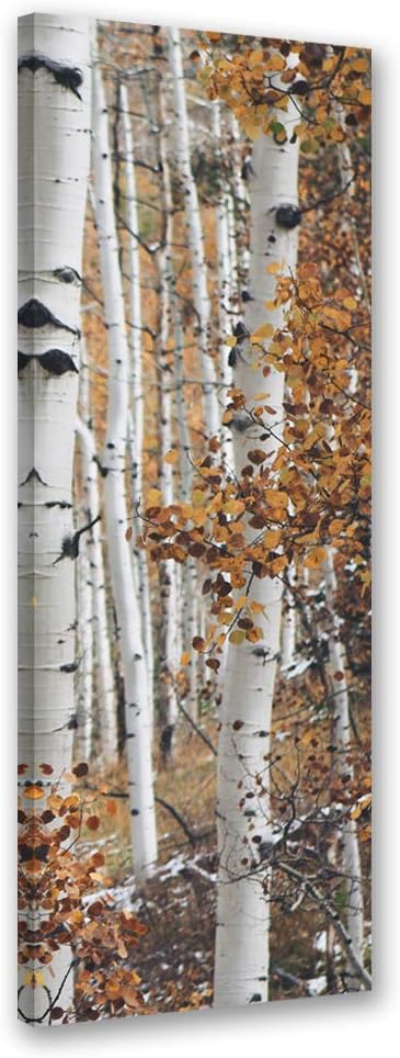Feeby Vlies Leinwandbild Natur Baum 60x150 cm Wand Bild Kunstdruck Deko Wohnzimmer Wohnungs Deko Bir