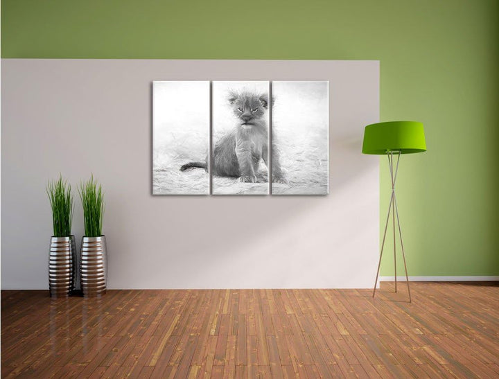 Pixxprint Verlassenes Löwenbaby als Leinwandbild/Grösse: 3 Teilig (120x80) cm/Wandbild/Kunstdruck/fe