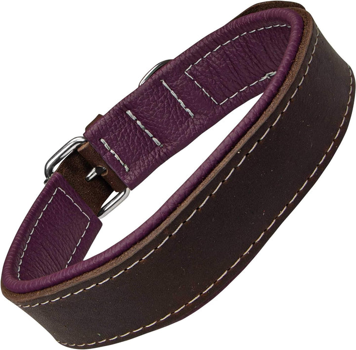 Schecker Moorfeuer Hundehalsband aus Leder Halsumfang ca. 24-32 cm Handgefertigt Handmade Hochwertig