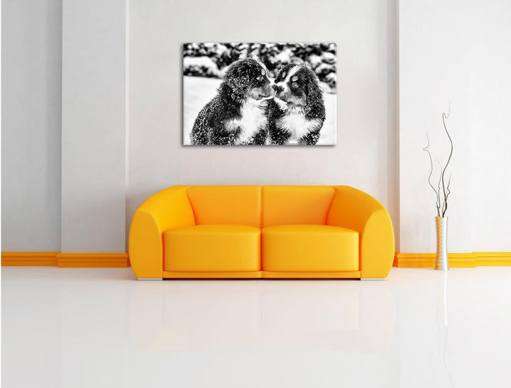 Pixxprint Bernersennen Hunde Welpen / 100x70cm Leinwandbild bespannt auf Holzrahmen/Wandbild Kunstdr