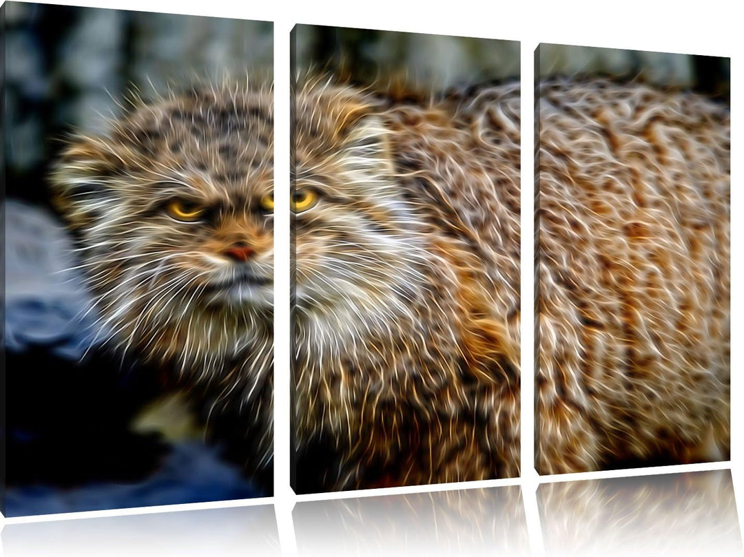 wütende Manul Spezial 3-Teiler Leinwandbild 120x80 Bild auf Leinwand, XXL riesige Bilder fertig gera