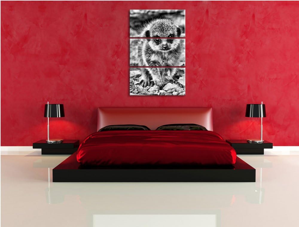 Pixxprint Monocrome, junges Erdmännchen zwischen Steinen 3-Teiler Leinwandbild 120x80 Bild auf Leinw