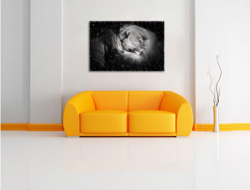 Pixxprint Männer Frauen Löwe kuscheln als Leinwandbild/Grösse: 100x70 cm/Wandbild/Kunstdruck/fertig