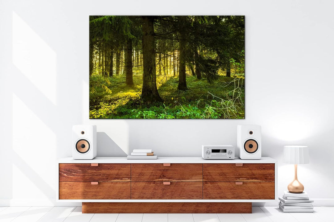 deyoli atemberaubende Waldlichtung Format: 80x60 als Leinwandbild, Motiv fertig gerahmt auf Echtholz
