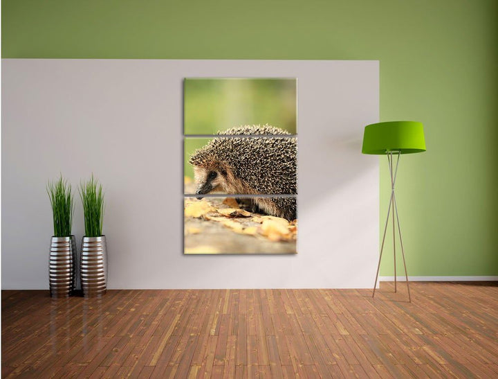 Pixxprint Igel im Laub als Leinwandbild/Grösse: 3 Teilig (120x80) cm/Wandbild/Kunstdruck/fertig besp