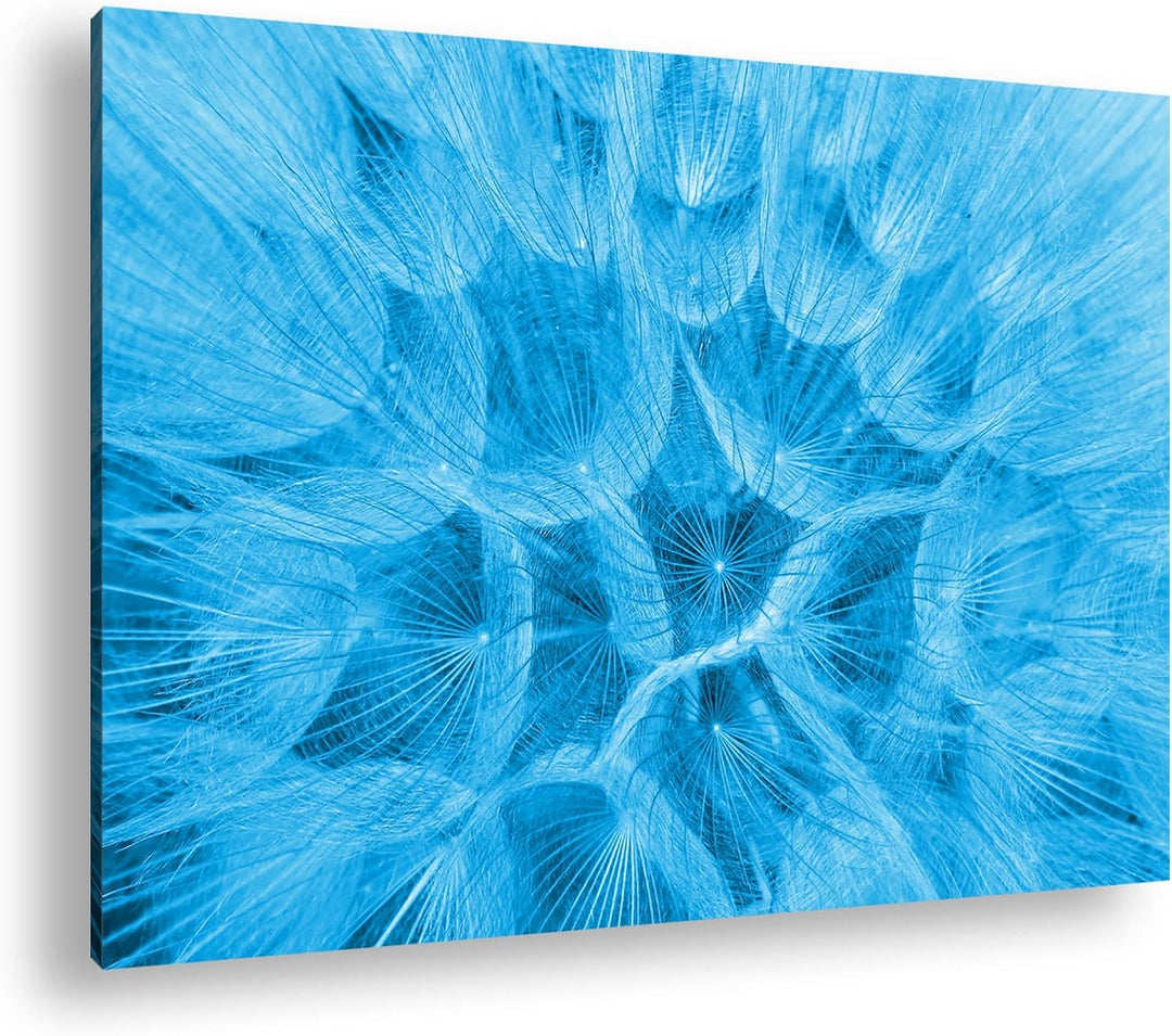deyoli innere einer Pusteblume Format 80x60 Effekt: Monocrome Blau als Leinwandbild, Motiv fertig ge