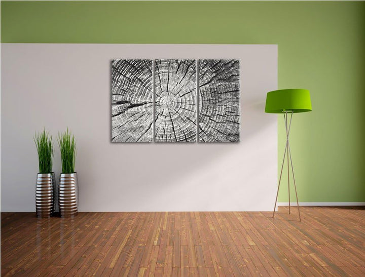 Baumstamm mit Jahresringen Spezial 3-Teiler Leinwandbild 120x80 Bild auf Leinwand, XXL riesige Bilde
