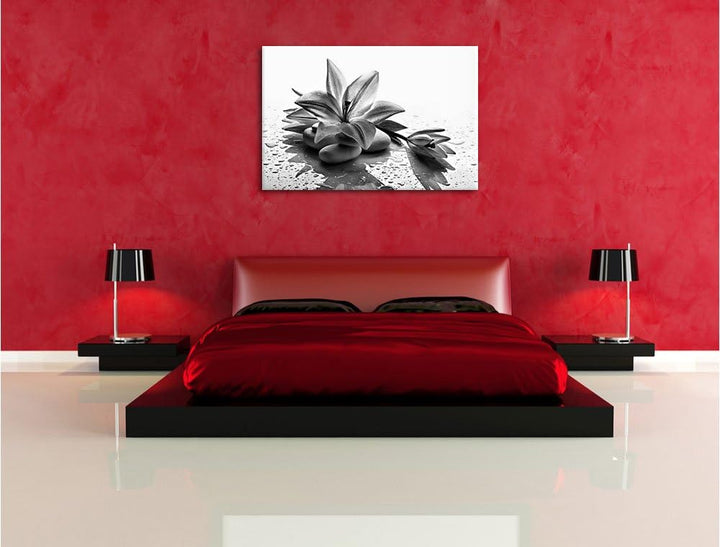 Pixxprint Düstere Lilie mit Zen Steinen als Leinwandbild | Grösse: 100x70 | Wandbild| Kunstdruck | f