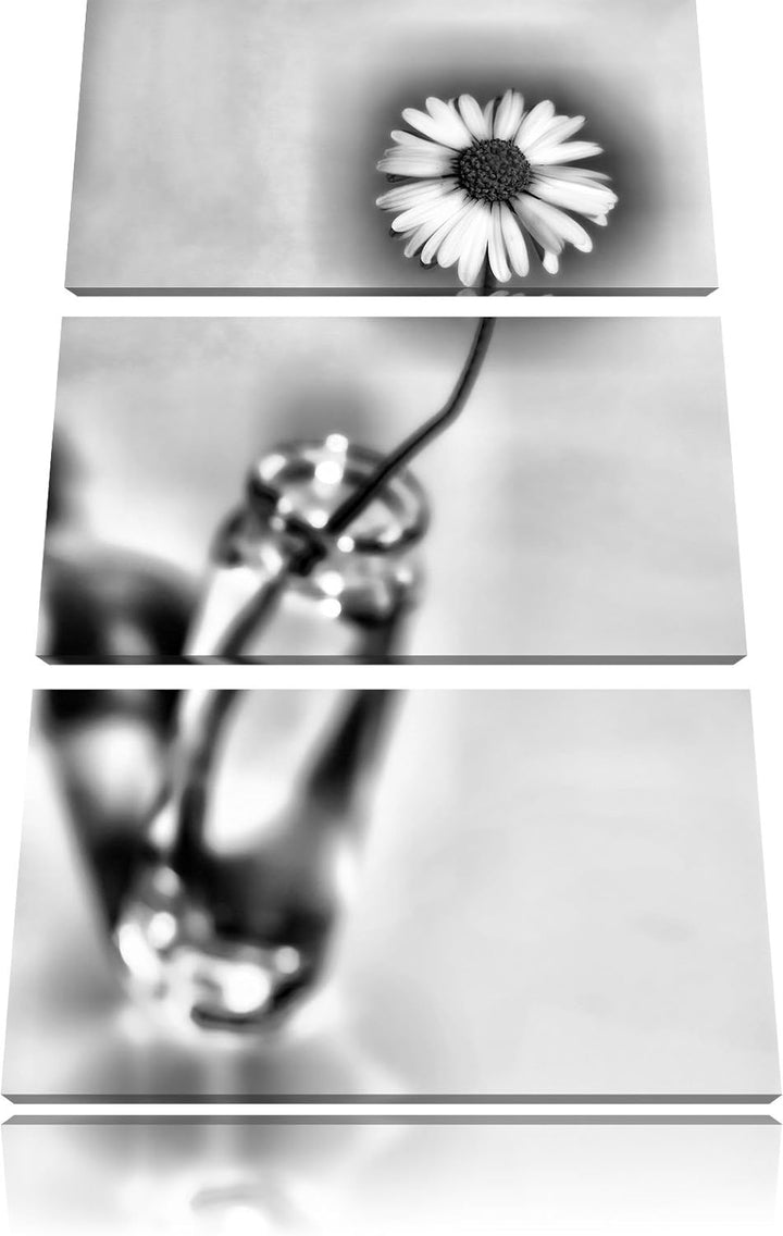 Pixxprint kleines Gänseblümchen im Glas als Leinwandbild/Grösse: 3 Teilig (120x80) cm/Wandbild/Kunst
