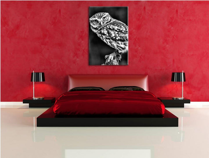 Monocrome, Eule auf Ast, Format: 100x70 auf Leinwand, XXL riesige Bilder fertig gerahmt mit Keilrahm