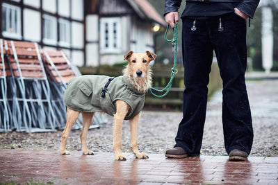 HUNTER UPPSALA TREND Hundemantel, Parker, mit Baumwolle, gefüttert, 25, khaki khaki 25, khaki 25