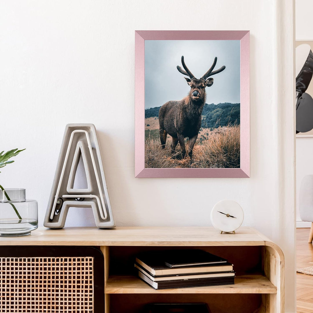 Rahmendesign24 Posterrahmen Milano 50x50 Roségold Fotorahmen, Wechselrahmen, Bilderrahmen, Puzzlerah