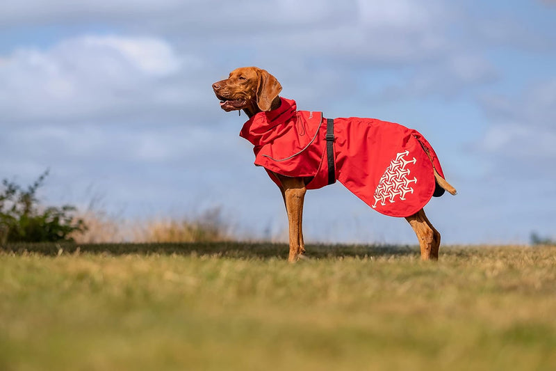 iEnergy™ LUN Hunderegenmantel Hunde Regenjacke windabweisender, ultraleichter und reflektierender Hu