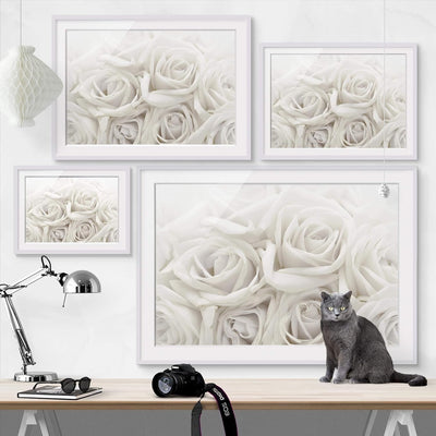 Bild mit Rahmen - Weisse Rosen - Rahmenfarbe Weiss, 30 x 40 cm 30cm x 40cm Weiss, 30cm x 40cm Weiss