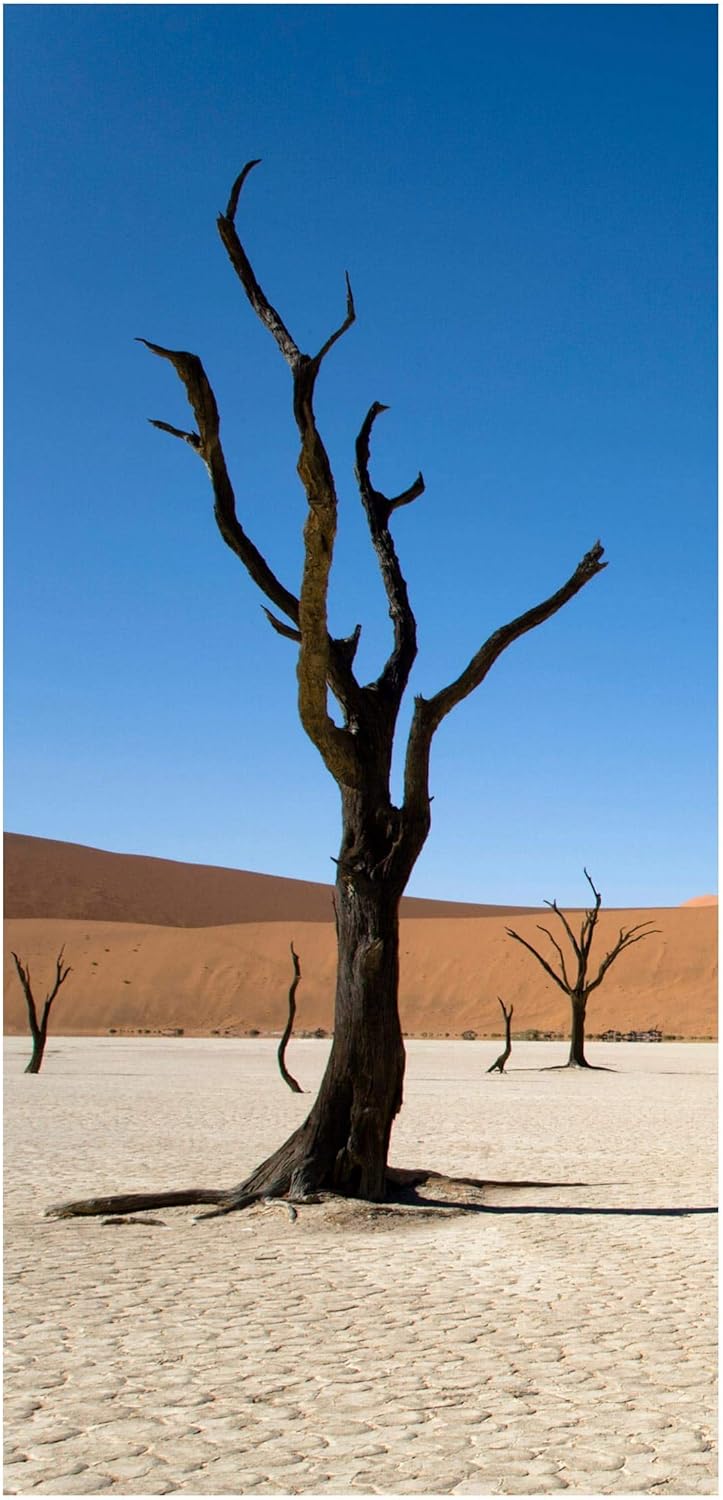 Bilderwelten Raumteiler Sossusvlei Namibia 250x120cm ohne Halterung, ohne Halterung