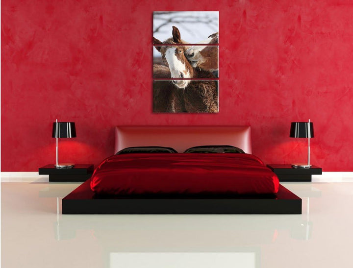 Pixxprint schmusende Pferde als Leinwandbild/Grösse: 3 Teilig (120x80) cm/Wandbild/Kunstdruck/fertig