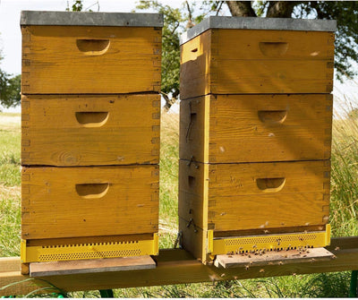 Lantelme Fluglochschieber 15 Stück Bienen Fluglochverkleinerer und Scharniere im Set Imker Imkereibe