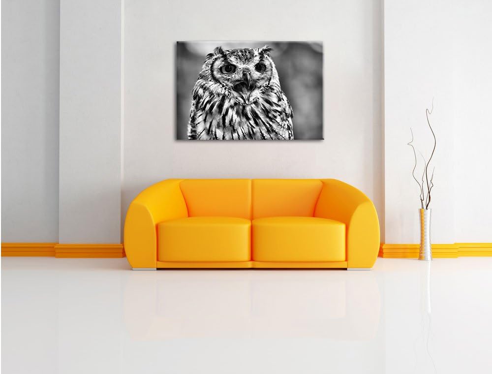 Pixxprint grosse Waldeule gähnt als Leinwandbild/Grösse: 100x70 / Wandbild/Kunstdruck/fertig bespann