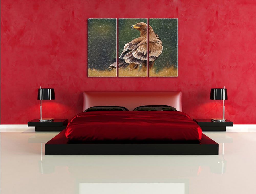 Pixxprint Falke mit braunem Gefieder als Leinwandbild 3 teilig/Grösse: 3 Teilig (120x80) / Wandbild/