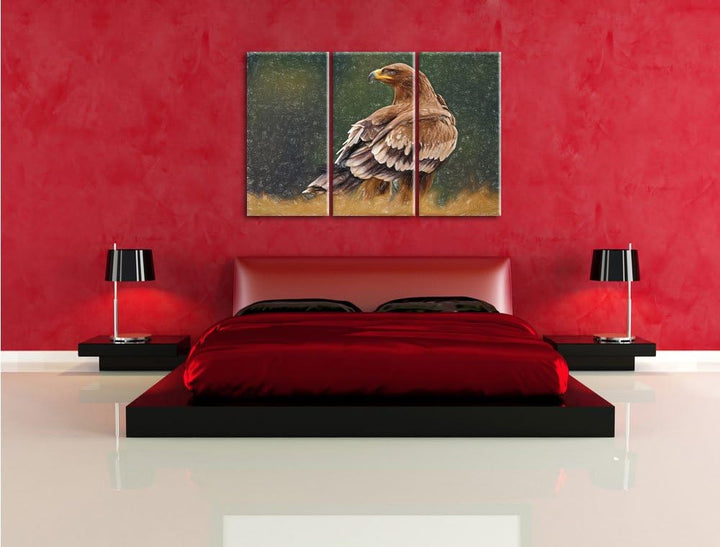 Pixxprint Falke mit braunem Gefieder als Leinwandbild 3 teilig/Grösse: 3 Teilig (120x80) / Wandbild/