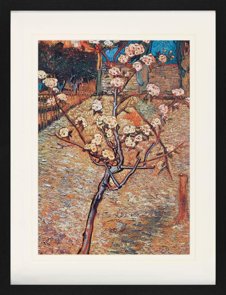1art1 Vincent Van Gogh Poster Blühender Birnbaum, 1888 Gerahmtes Bild Mit Edlem Passepartout | Wand-
