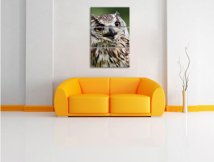 Pixxprint sehr müde Waldeule 3-Teiler Leinwandbild 120x80 Bild auf Leinwand