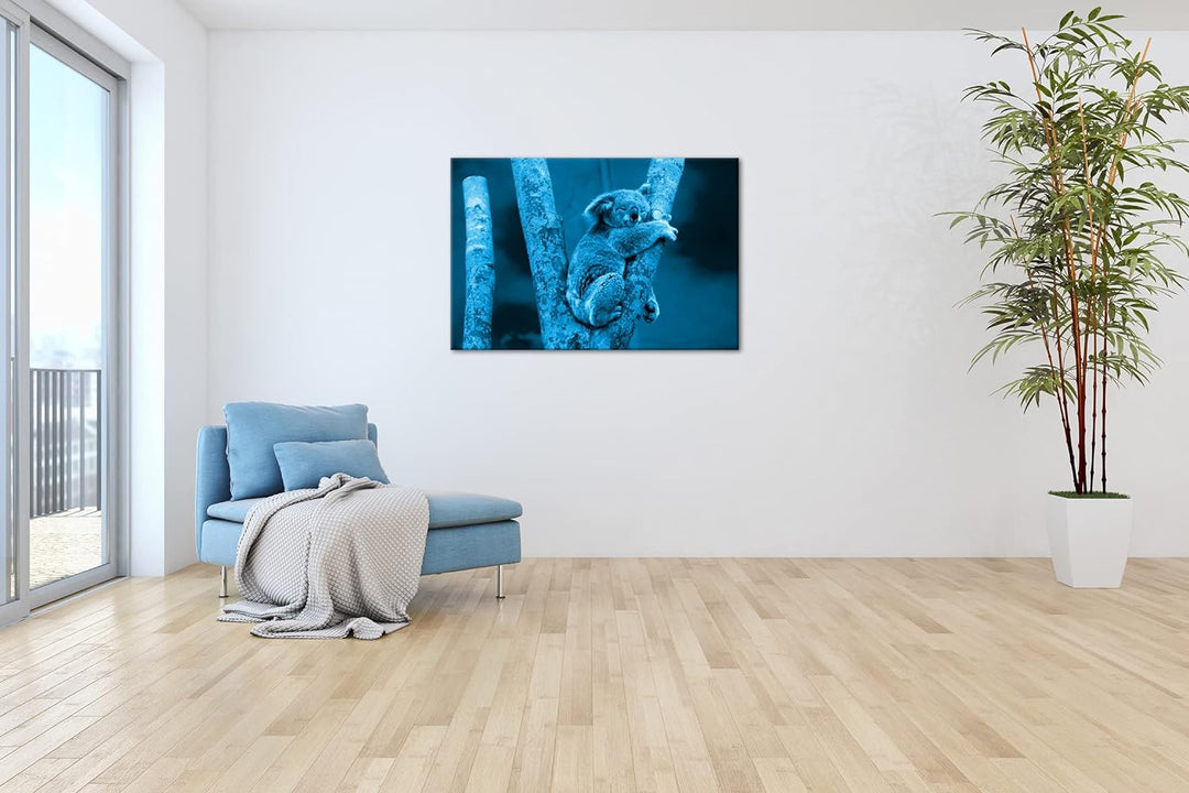 deyoli niedlich schlafender Koalabär Format 80x60 Effekt: Monocrome Blau als Leinwandbild, Motiv fer
